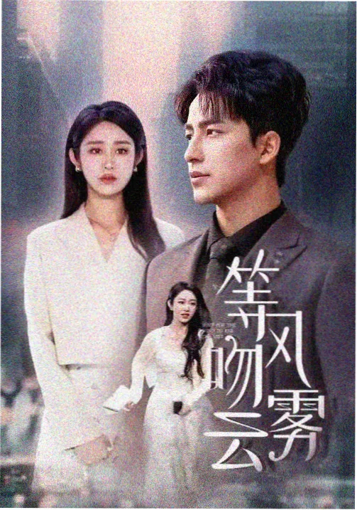 救援题材韩国电视剧动作片标本封面